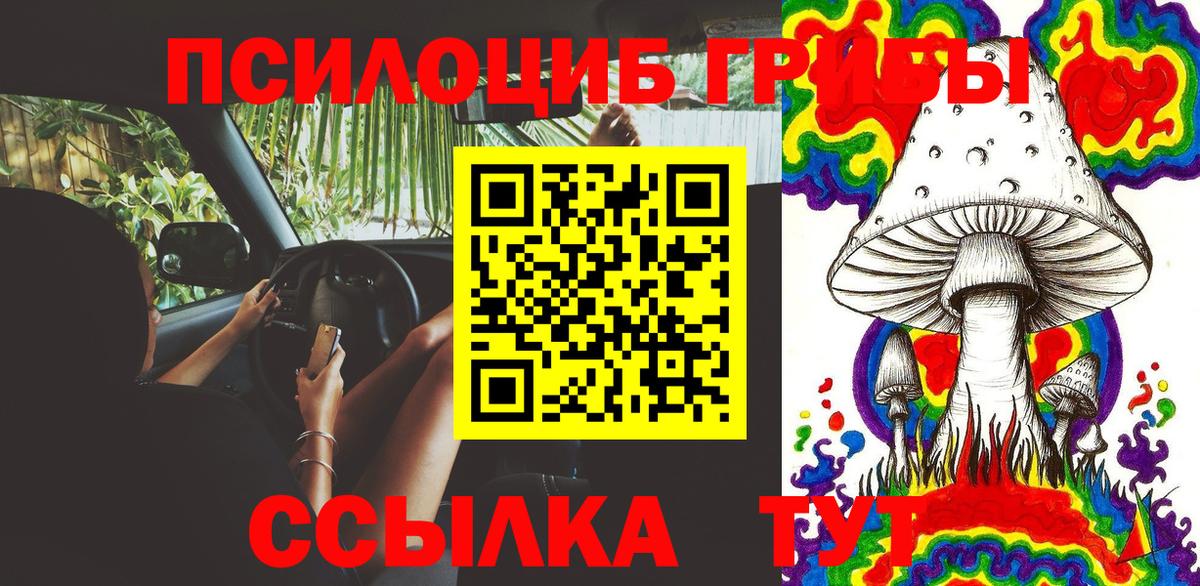 Псилоцибиновые грибы Cubensis  Вход с VPN  Псилоцибиновые грибы мухоморы  Татарск 